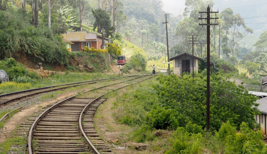 trainroad while backpacking in sri lanka 