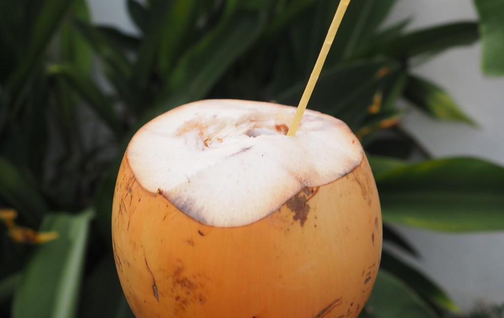 Coconut Sri Lanka
