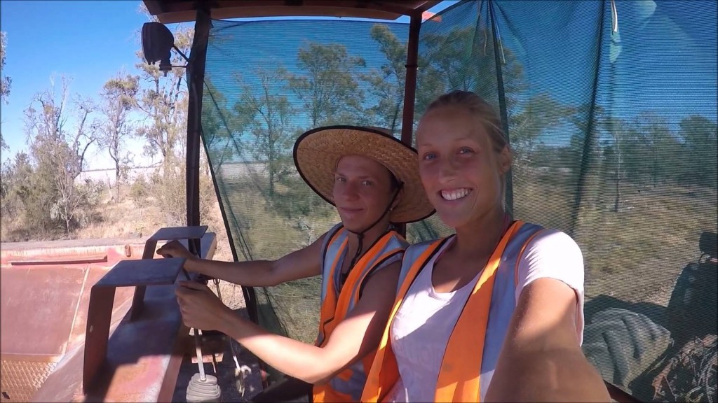 Farmarbeit im Outback Australiens