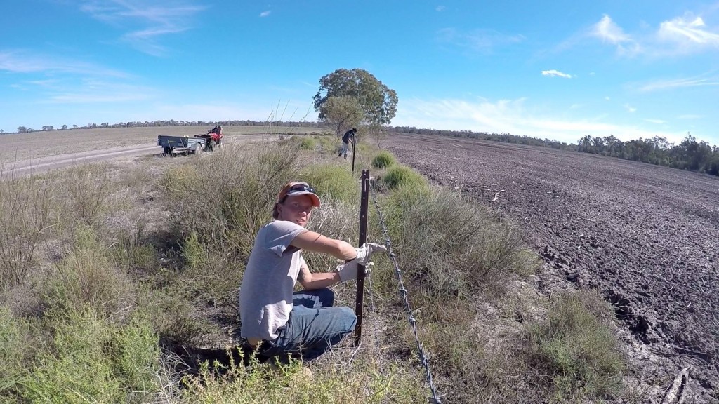 Fencing im outback australiens
