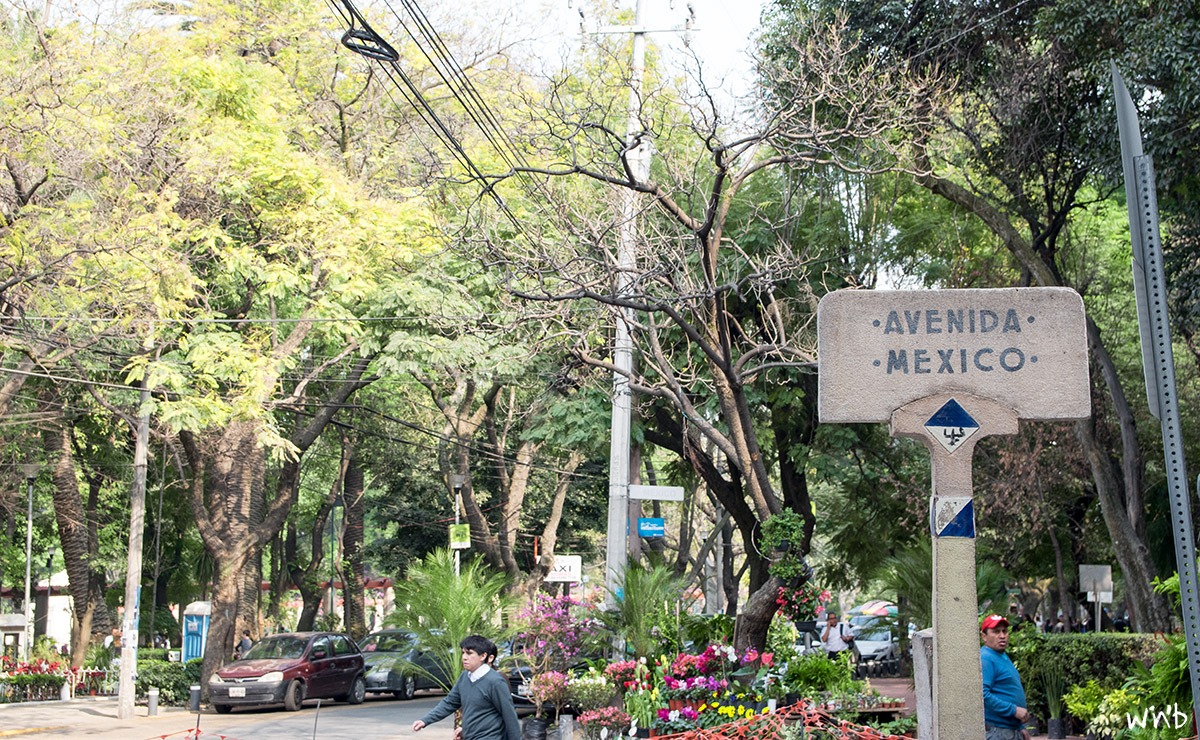 Avenida in Mexico City