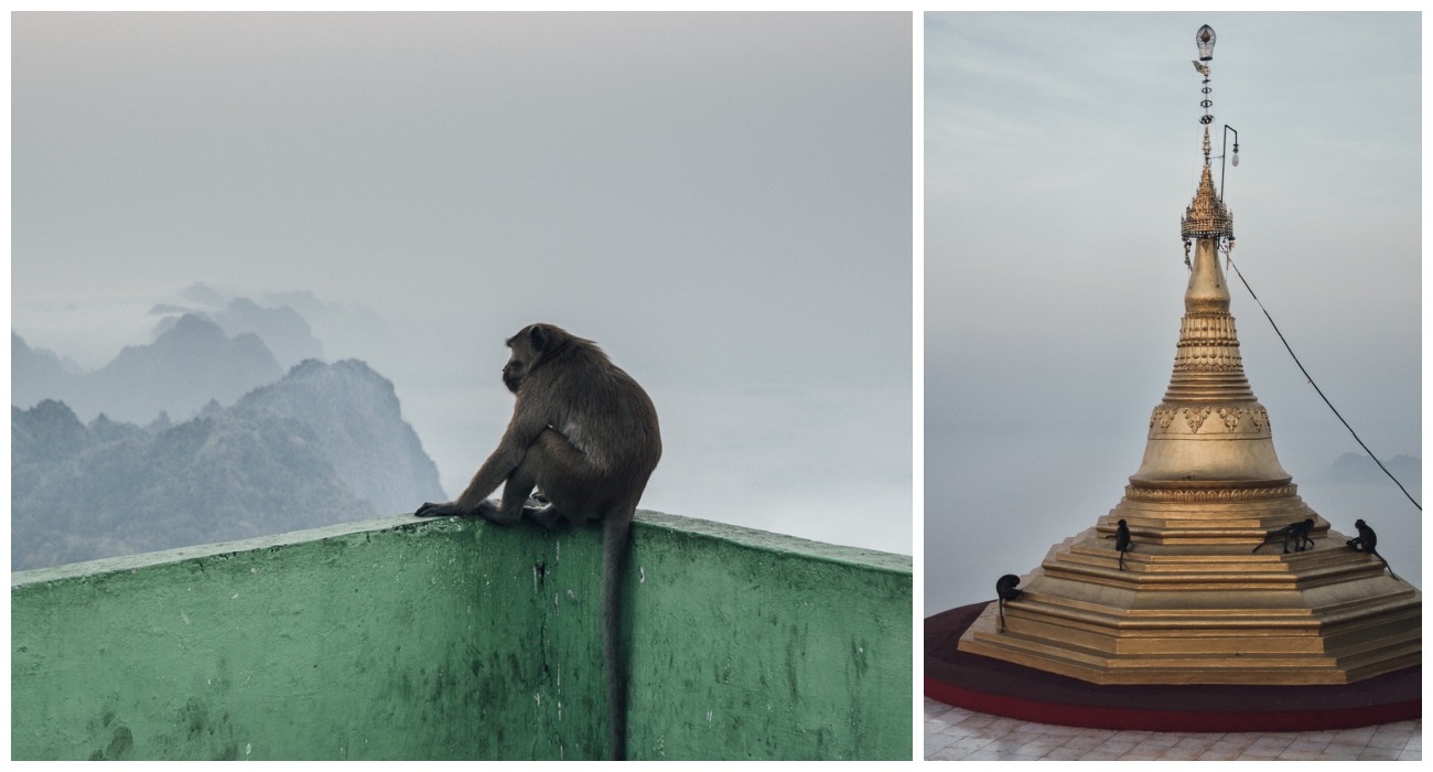 Affen auf dem Mount Zwegabin Hpa-An